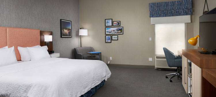 希尔顿欢朋酒店-尼亚加拉瀑布(Hampton Inn Niagara Falls)图片
