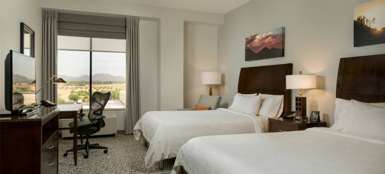 凤凰城机场北希尔顿花园旅馆(Hilton Garden Inn Phoenix Airport North)图片
