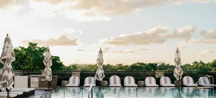 THesis 酒店迈阿密珊瑚阁，希尔顿好奇精选系列(THesis Hotel Miami Coral Gables, Curio Collection by Hilton)图片