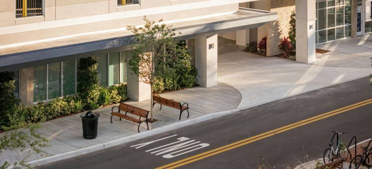 万豪斯泊林山套房酒店 - 坦帕布兰登(SpringHill Suites Tampa Downtown)图片