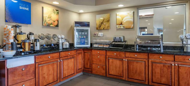 迪蒙代尔舒适套房酒店(Comfort Inn & Suites Dimondale - Lansing)图片