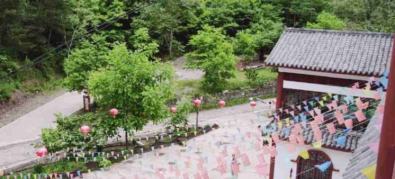 康县茶马庄园图片