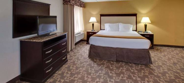 芝加哥-绍姆堡假日酒店(Holiday Inn Chicago - Schaumburg)图片