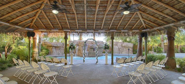 拉斯维加斯大道希尔顿花园酒店(Hilton Garden Inn Las Vegas Strip South)图片