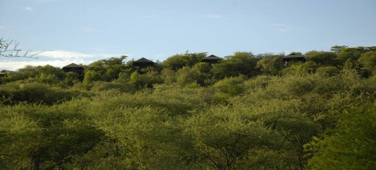 Kirawira Serena Camp图片