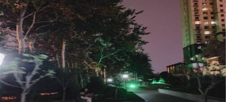 万达造梦者小黄人近泰华银座阳光100民宿(鸢飞路2号分店)图片