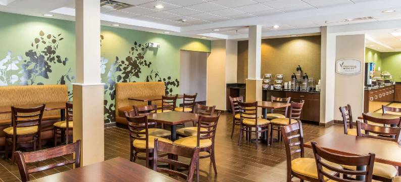 北橄榄山舒眠套房酒店(Sleep Inn & Suites Mount Olive North)图片