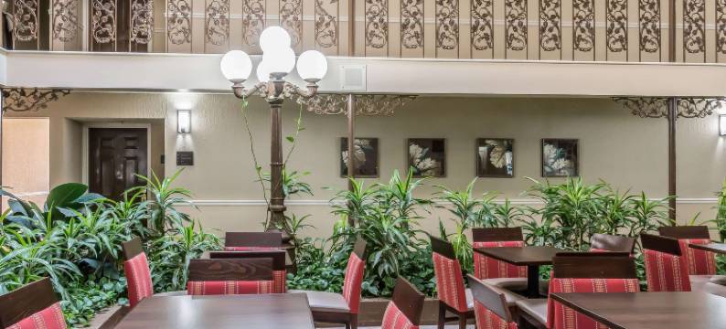 奥格尔索普套房酒店(Comfort Inn)图片