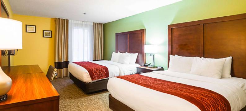 戴顿西北英格尔伍德舒适套房酒店(Comfort Inn & Suites Dayton Northwest - Englewood)图片