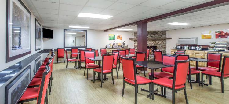 加特林堡格红屋顶套房酒店(Quality Inn & Suites)图片
