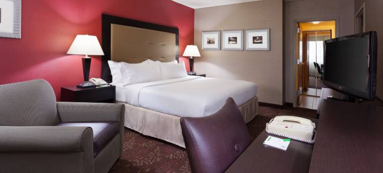 Holiday Inn 辛辛那提机场(Holiday Inn Cincinnati Airport)图片