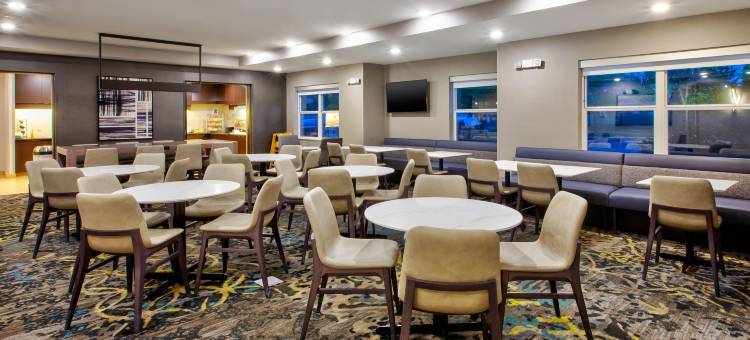 北安阿伯万豪 Residence Inn 酒店(Residence Inn Ann Arbor North)图片