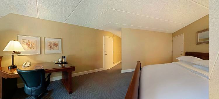 帕洛阿尔托喜来登酒店(Sheraton Palo Alto Hotel)图片