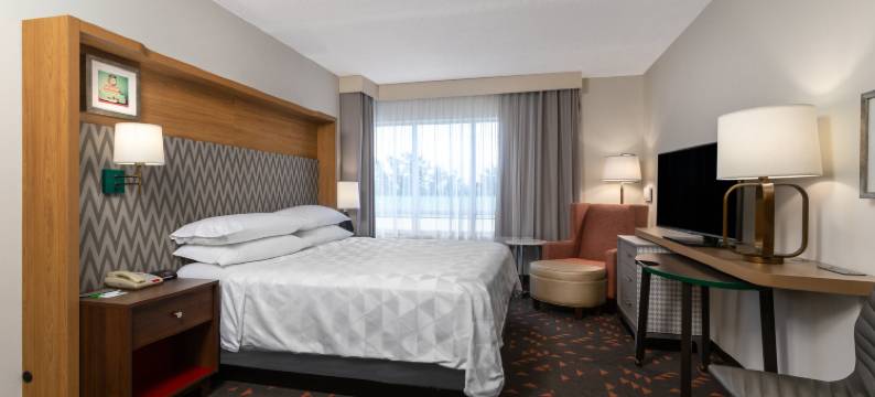 Holiday Inn 冬季HAVEN(Holiday Inn WINTER HAVEN by IHG)图片