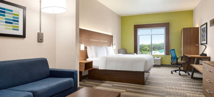 智选假日套房酒店韦克罗斯 by IHG(Holiday Inn Express & Suites Waycross)图片