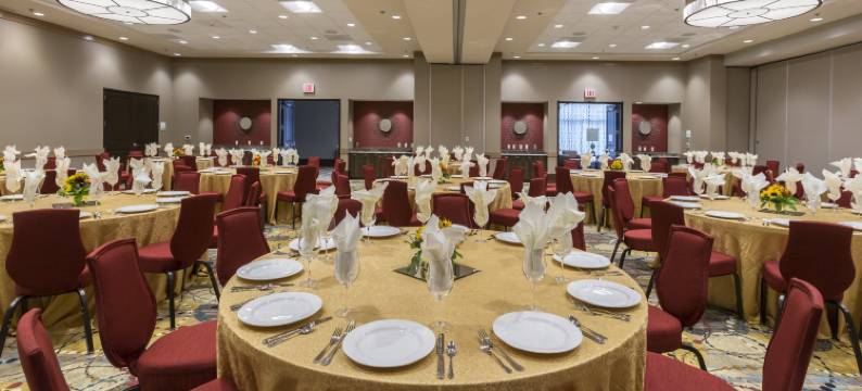 Crowne Plaza 雪兰(Crowne Plaza SHENANDOAH - WOODLANDS AREA by IHG)图片