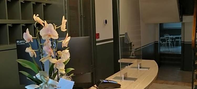 拉斐尔公园别墅酒店(Villa Raffaello Park Hotel)图片