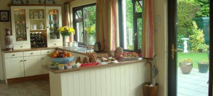 阿斯罗姆尼庄园酒店(Athlumney Manor Guest Accommodation)图片