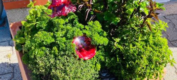 Stor Lys Lejlighed på Nordmors图片