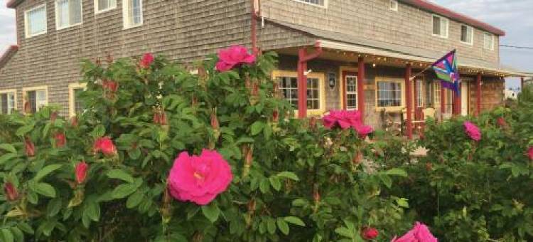 Auberge Café Acadien图片