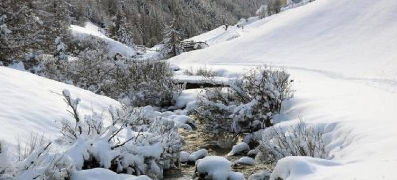 Pritscheshof Ferienwohnung Terrasse图片