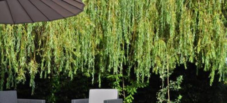 Chambres d'Hôtes la Grange Au Bois图片