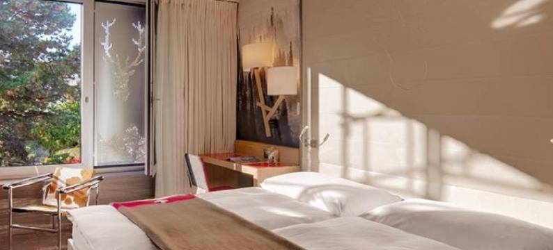 阿格拉法斯宾德瑞士之夜酒店(Agora Swiss Night by Fassbind)图片