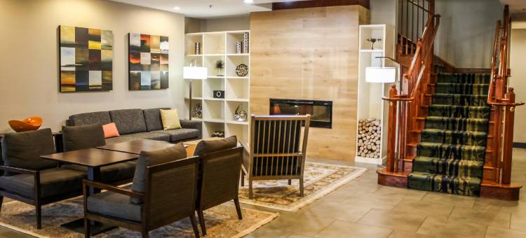 华盛顿杜勒斯国际机场丽怡酒店(Country Inn & Suites by Radisson, Washington Dulles International Airport, VA)图片