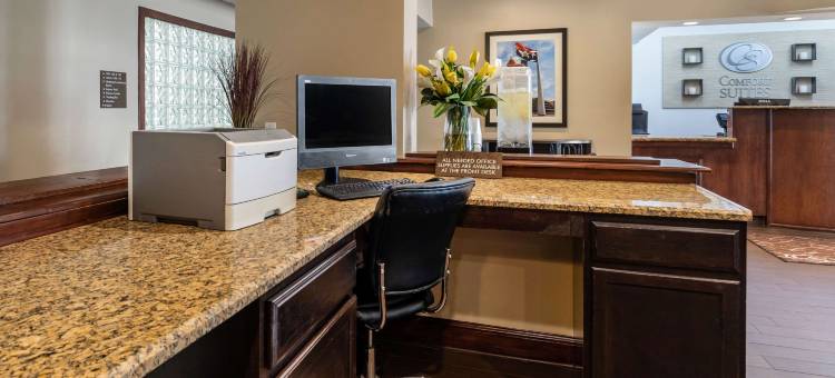 舒适套房酒店-达拉斯北(Comfort Suites North Dallas)图片