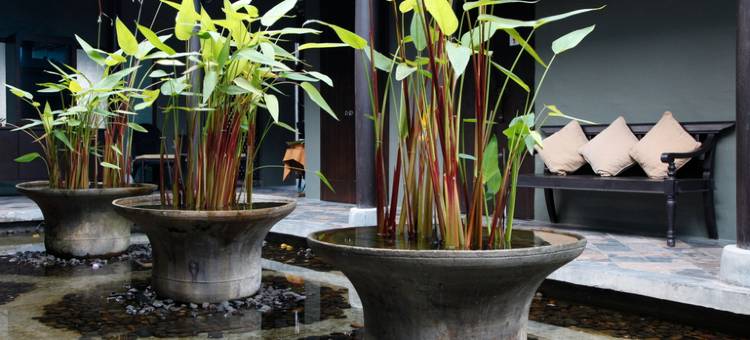 合艾盛泰乐酒店(Centara Hotel Hat Yai)图片
