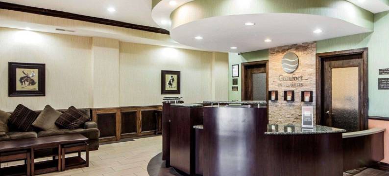 舒适套房酒店(Comfort Inn & Suites)图片