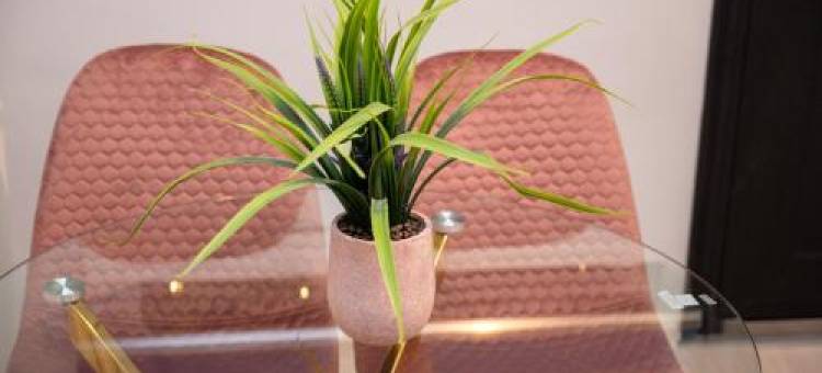 EliTe Deluxe 1图片