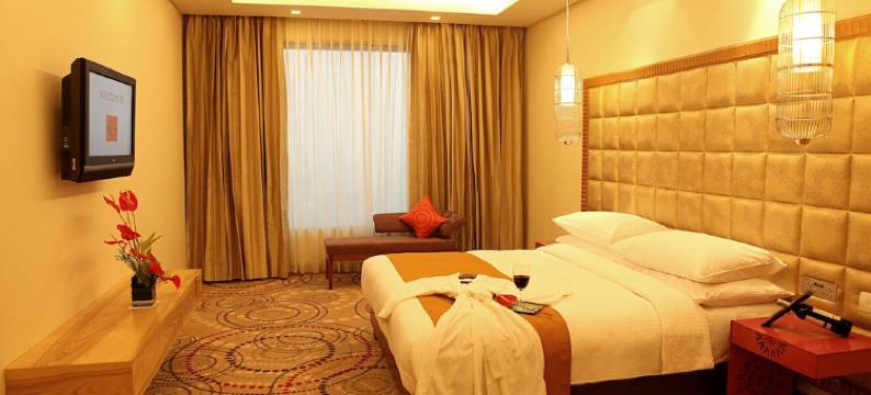 大都会酒店及水疗中心(The Metropolitan Hotel & Spa New Delhi)图片