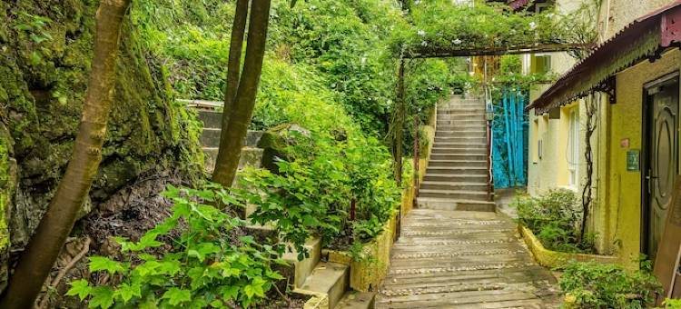 慕苏里马辛德拉俱乐部酒店(Club Mahindra Mussoorie)图片