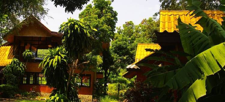 阿雷亚普雷度假村(Areeya Phuree Resort Thaton)图片