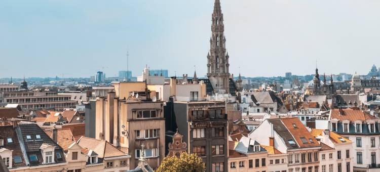 布鲁塞尔大广场希尔顿酒店(Hilton Brussels Grand Place)图片