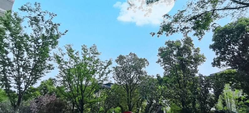 南城花开精品民宿(经南十路分店)图片