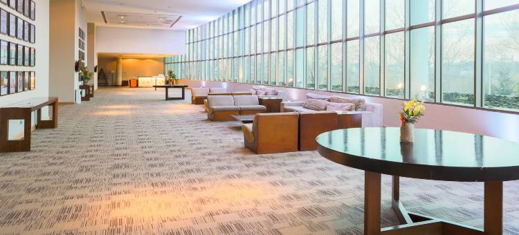 奥索尔诺索尼斯塔酒店(Sonesta Hotel Osorno)图片