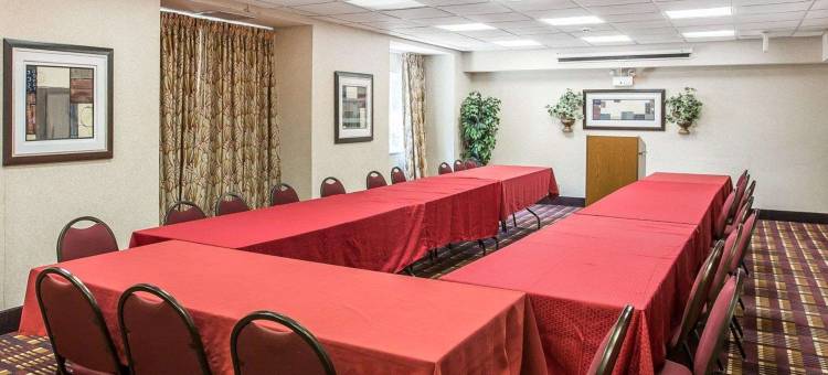 凯艺套房酒店(Quality Inn & Suites)图片