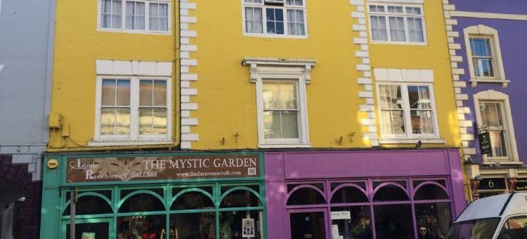 8只猫头鹰民宿(8 Owls B&B)图片