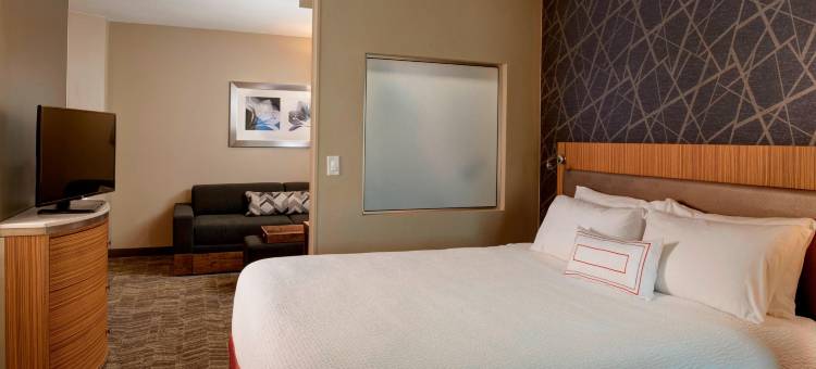 布伦特伍德圣路易斯SpringHill Suites 酒店(SpringHill Suites St. Louis Brentwood)图片