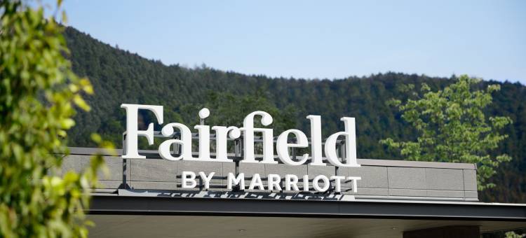 栃木日光万枫酒店­­(Fairfield by Marriott Tochigi Nikko)图片