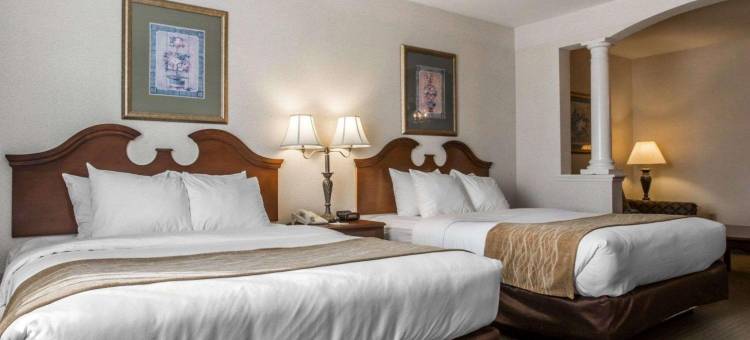 东格林奥尔巴尼舒适套房酒店(Comfort Inn & Suites East Greenbush - Albany)图片