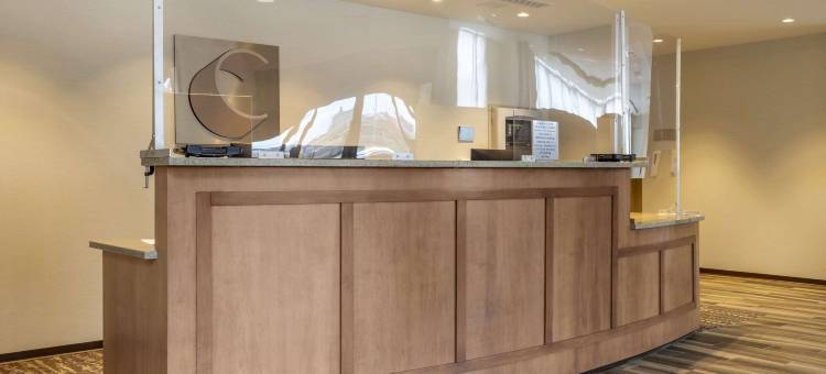 匹兹堡北岸舒适套房酒店(Comfort Inn & Suites Pittsburgh-Northshore)图片