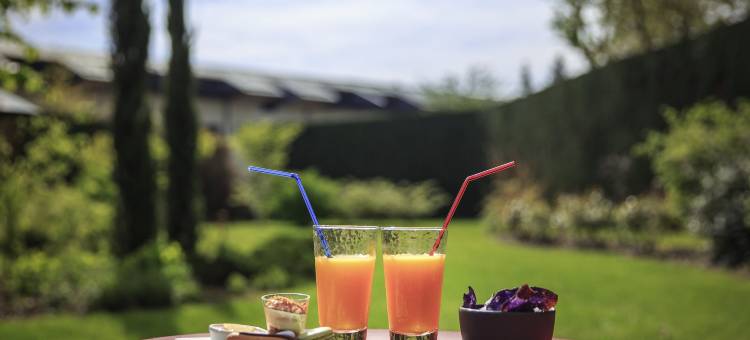 美居布雷斯地区布尔格酒店(Hôtel Mercure Bourg-en-Bresse)图片