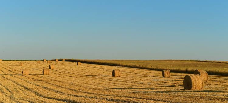 贝沙修道院酒店-历史酒店(Pousada Convento de Beja – Historic Hotel)图片