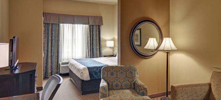 弗赖拉辛舒适套房酒店(Comfort Suites Frisco)图片