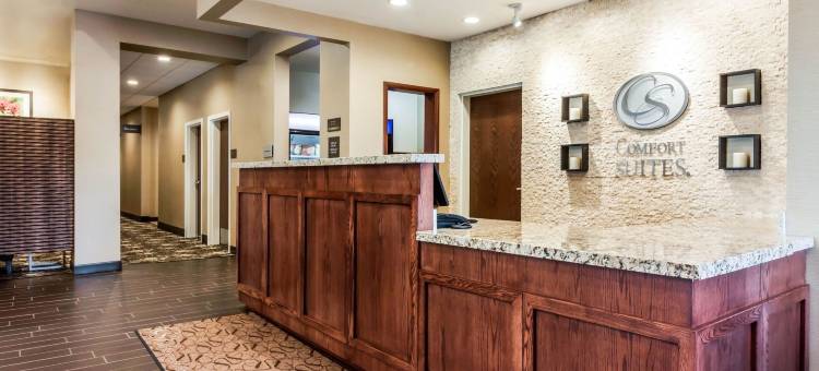 舒适套房酒店-大学(Comfort Suites University Brookings)图片