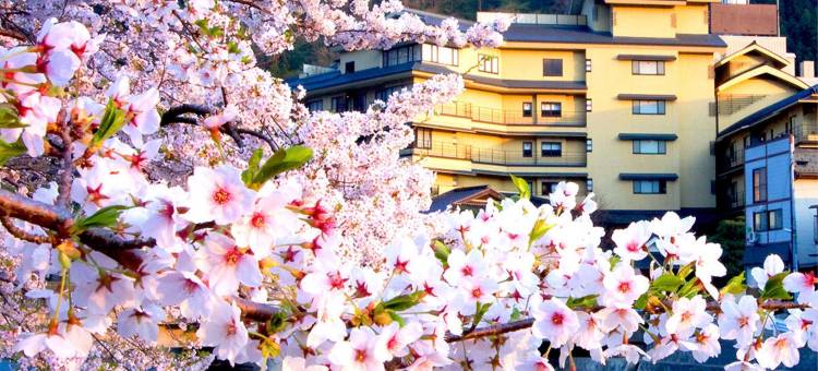 Atsumi 温泉 橘屋旅馆(Tachibanaya)图片