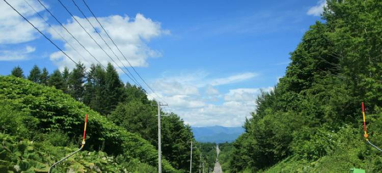 带广普乐美雅凯宾酒店(Premier Hotel -Cabin- Obihiro)图片